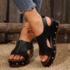 legs 146 - Image 2